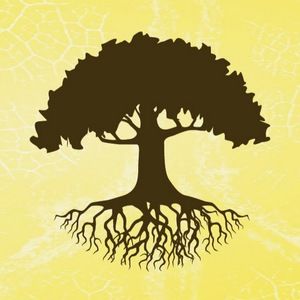 Meet your Posher, Dr. loren